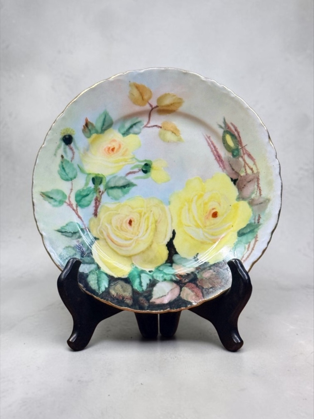 R.C. VERSAILLES Colorful Decorative Plate